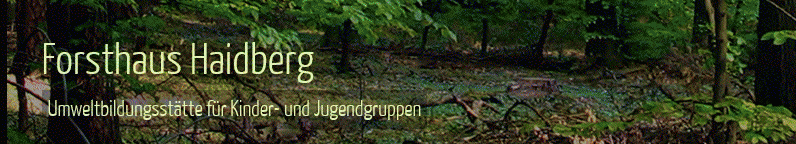 Forsthaus Haidberg e.V.